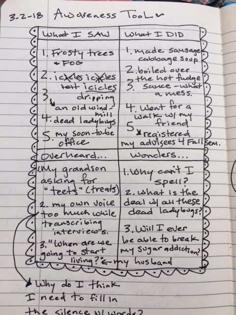 My Quick Diary of the Day